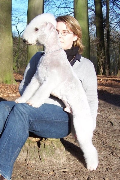 Airis Blue Volshebny Svet 09.02 (16).JPG